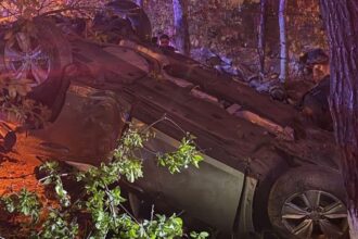 haos in trafic la constanta barbat baut urmarit de politisti s a rasturnat dupa ce a distrus mai multe masini 69ff0b24b6f69