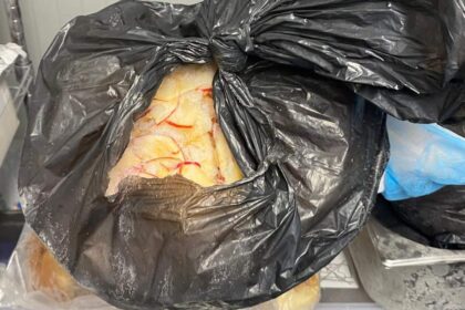 nereguli grave descoperite la cantina unei scoli private din ilfov elevii primeau alimente expirate 6a0f2a6e8770e