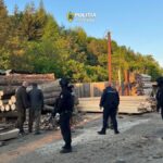 perchezitii in localitatea vranceana nereju intr un dosar de infractiuni silvice prejudiciul 238 000 de lei 6a0c1a6a5216e