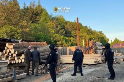 perchezitii in localitatea vranceana nereju intr un dosar de infractiuni silvice prejudiciul 238 000 de lei 6a0c1a6a5216e