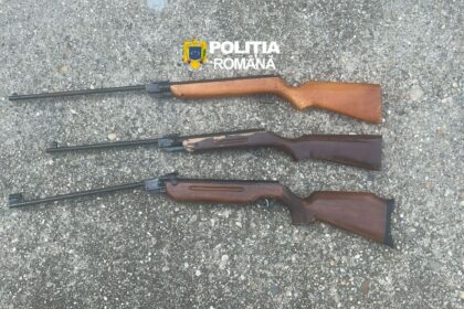 pusti ilegale vandute la un targ din rosiori de vede trei persoane au fost retinute 6a1a1fe8125b3