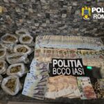retea de trafic de droguri destructurata la iasi cocaina vanduta printr o vulcanizare folosita ca paravan 6a0daa05dc911 1
