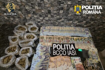 retea de trafic de droguri destructurata la iasi cocaina vanduta printr o vulcanizare folosita ca paravan 6a0daa05dc911 1