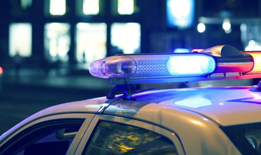 soferul unei brutarii a facut accident mortal si a fugit politia pascani l a prins la 10 km distanta distribuind paine 69fa8c64ce08f