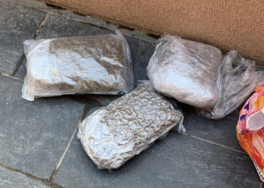 traficanti din tata in fiu la iasi cel mic a dus traficul in alta liga a trecut de la cannabis la heroina 6a0d085ab4d30