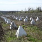 ucraina isi intareste apararea la frontiera cu transnistria trebuie sa fim pregatiti pentru orice scenariu 69f91fd46a06d