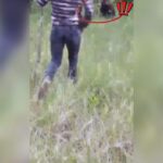 un barbat a fugarit un urs cu lopata in valcea semnalul de alarma tras de jandarmi dupa incident video 6a033ed75a939