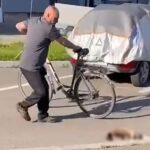un barbat din rovinari a fost retinut dupa ce a ucis o pisica pentru ca dormea pe masina lui video 6a074864e96c7