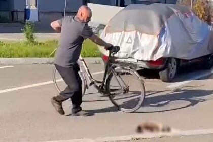 un barbat din rovinari a fost retinut dupa ce a ucis o pisica pentru ca dormea pe masina lui video 6a074864e96c7