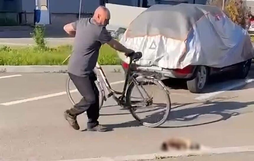 un barbat din rovinari a fost retinut dupa ce a ucis o pisica pentru ca dormea pe masina lui video 6a074864e96c7