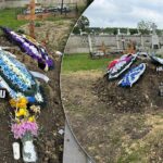 un biciclist a fost izbit mortal de un sofer de 20 de ani noaptea la ora 0200 iata cine era barbatul care a murit pe drumul european 6a10e34335a7c