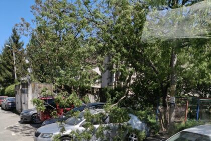 un copac a cazut peste o masina parcata in pacurari pompierii au intervenit de urgenta 69fb3c3f6cee2