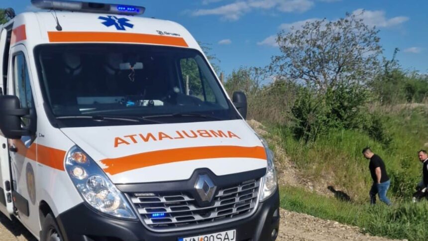 un copil de 4 ani a fost gasit mort intr o balta in vrancea era dat disparut de o ora 69f7ce590fadc