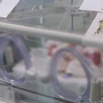 verificari in cazul bebelusului care a murit in martie la maternitatea polizu sanctiune si sesizare pentru malpraxis 6a02f50c767dc