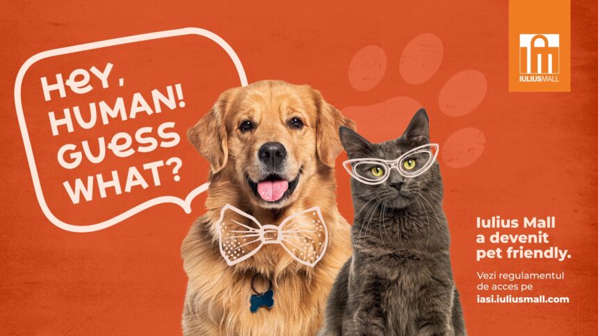 vesti bune pentru iubitorii de animale iulius mall iasi a devenit pet friendly 69fc6a76cab1c