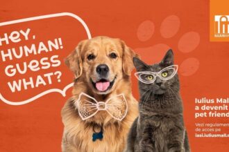 vesti bune pentru iubitorii de animale iulius mall iasi a devenit pet friendly 69fca2acb1795