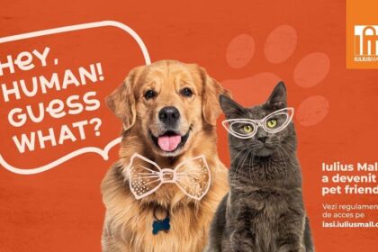 vesti bune pentru iubitorii de animale iulius mall iasi a devenit pet friendly 69fca2acb1795
