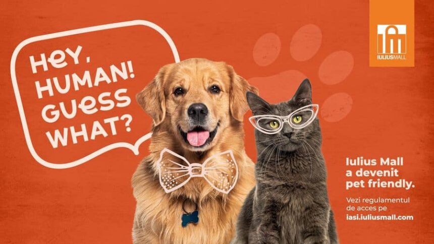 vesti bune pentru iubitorii de animale iulius mall iasi a devenit pet friendly 69fca2acb1795