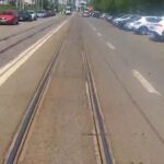 video imagini inedite surprine in iasi o vaca a fost filmata pe un bulevard circulat din oras 6a072b2432d82