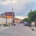 haite de caini au pus stapanire pe mai multe zone din dancu localnicii se tem sa mai iasa din casa 6a1cc0c3c0ee5