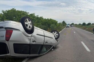 impact intre o masina si o caruta in timis doua femei si un barbat au fost raniti calul a murit 6a1d530b6c4e9