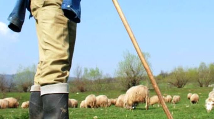 un cioban din lungani a asteptat un an de zile ca sa se razbune pe batausul satului cu greu a fost oprit sa nu l ucida 6a1e3667569f8